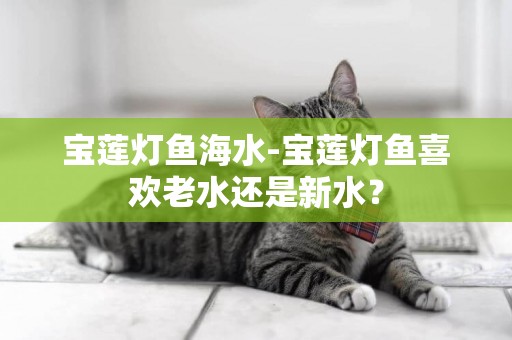 寶蓮燈魚海水-寶蓮燈魚喜歡老水還是新水？