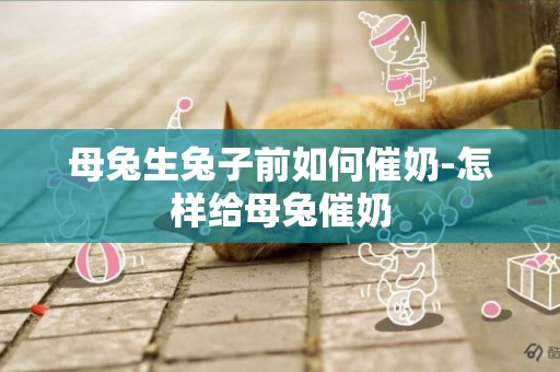 母兔生兔子前如何催奶-怎樣給母兔催奶