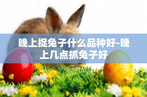晚上捉兔子什么品種好-晚上幾點抓兔子好