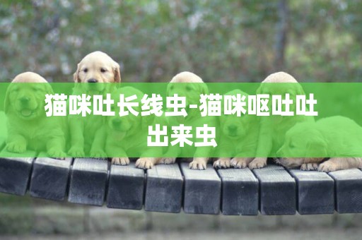 貓咪吐長線蟲-貓咪嘔吐吐出來蟲