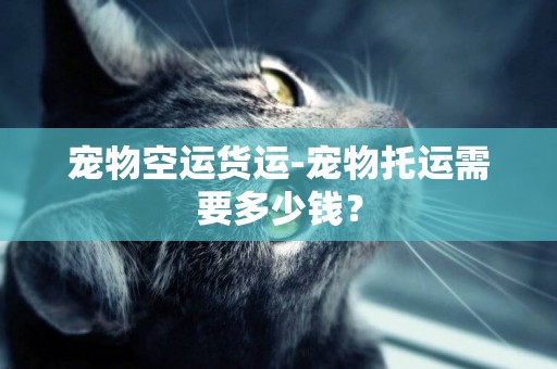寵物空運貨運-寵物托運需要多少錢？