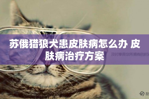 蘇俄獵狼犬患皮膚病怎么辦 皮膚病治療方案