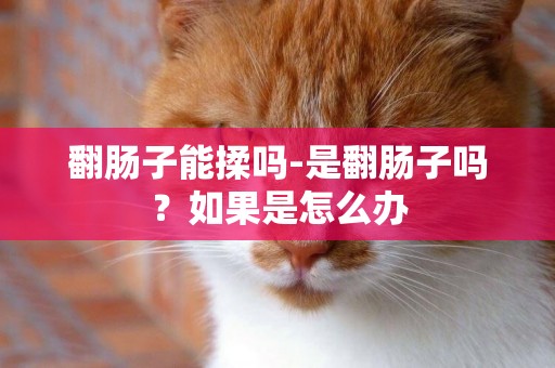 翻腸子能揉嗎-是翻腸子嗎？如果是怎么辦