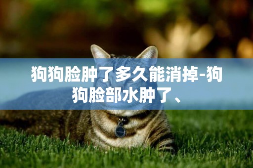 狗狗臉腫了多久能消掉-狗狗臉部水腫了、