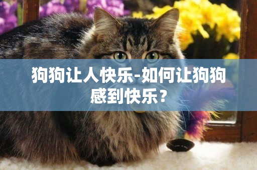 狗狗讓人快樂-如何讓狗狗感到快樂？