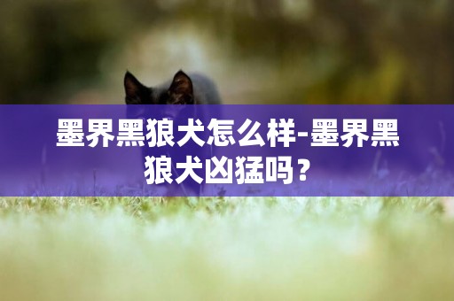 墨界黑狼犬怎么樣-墨界黑狼犬兇猛嗎？