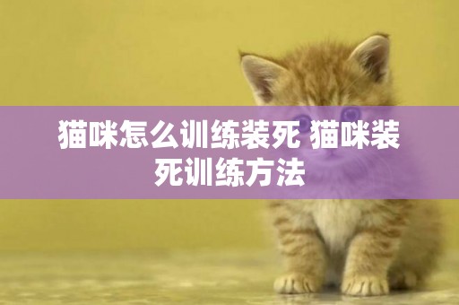 貓咪怎么訓練裝死 貓咪裝死訓練方法