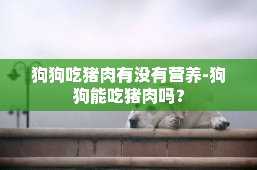 狗狗吃豬肉有沒有營養-狗狗能吃豬肉嗎？