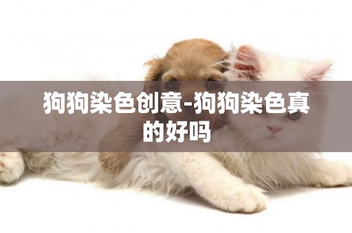 狗狗染色創意-狗狗染色真的好嗎