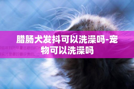 臘腸犬發抖可以洗澡嗎-寵物可以洗澡嗎