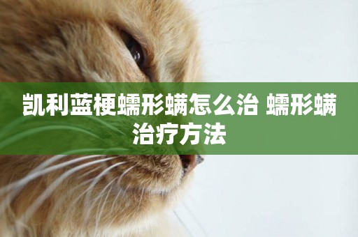 凱利藍梗蠕形螨怎么治 蠕形螨治療方法