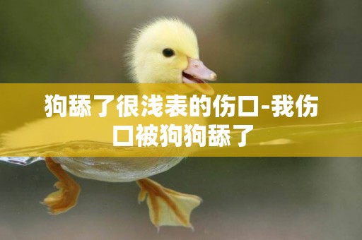 狗舔了很淺表的傷口-我傷口被狗狗舔了