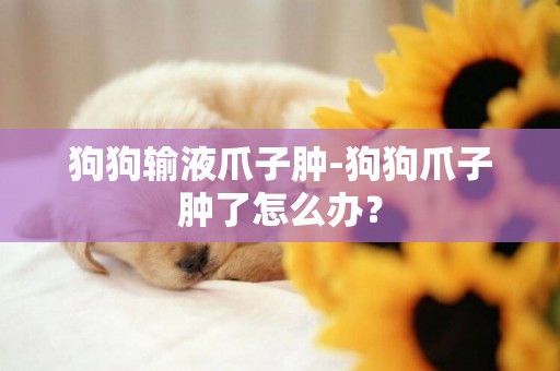 狗狗輸液爪子腫-狗狗爪子腫了怎么辦？