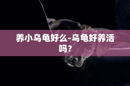 養小烏龜好么-烏龜好養活嗎？