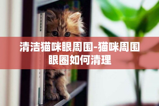 清潔貓咪眼周圍-貓咪周圍眼圈如何清理