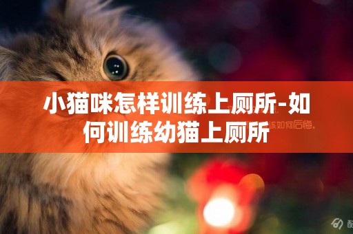 小貓咪怎樣訓練上廁所-如何訓練幼貓上廁所