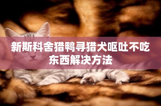 新斯科舍獵鴨尋獵犬嘔吐不吃東西解決方法
