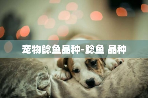 寵物鯰魚品種-鯰魚 品種
