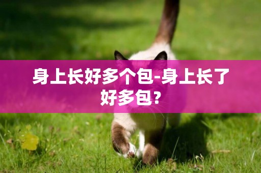 身上長好多個包-身上長了好多包？
