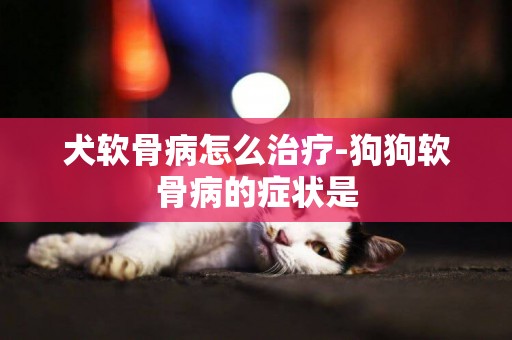 犬軟骨病怎么治療-狗狗軟骨病的癥狀是