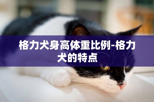 格力犬身高體重比例-格力犬的特點