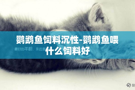 鸚鵡魚飼料沉性-鸚鵡魚喂什么飼料好