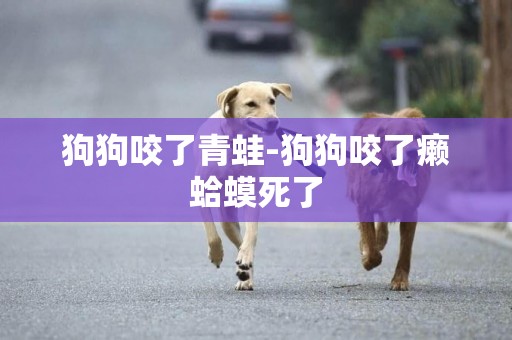 狗狗咬了青蛙-狗狗咬了癩蛤蟆死了