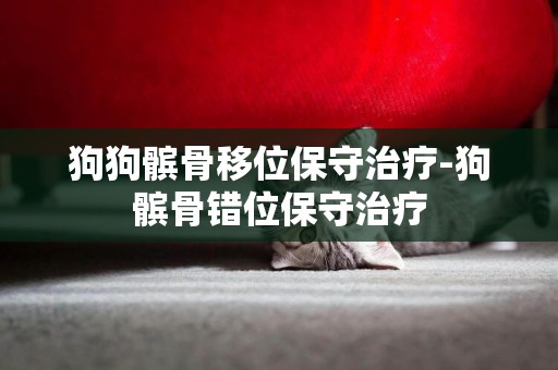 狗狗髕骨移位保守治療-狗髕骨錯位保守治療
