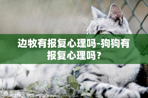 邊牧有報復心理嗎-狗狗有報復心理嗎？
