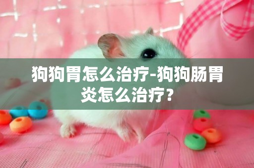 狗狗胃怎么治療-狗狗腸胃炎怎么治療？