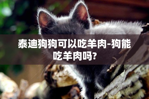 泰迪狗狗可以吃羊肉-狗能吃羊肉嗎?