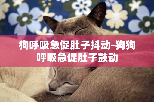 狗呼吸急促肚子抖動-狗狗呼吸急促肚子鼓動