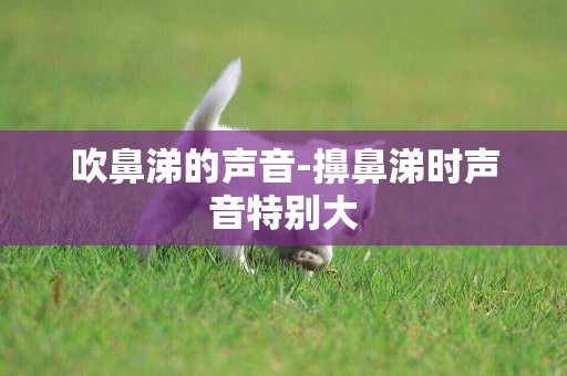 吹鼻涕的聲音-擤鼻涕時聲音特別大