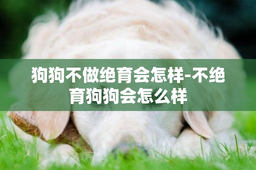 狗狗不做絕育會怎樣-不絕育狗狗會怎么樣