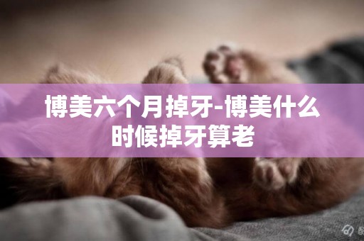 博美六個月掉牙-博美什么時候掉牙算老