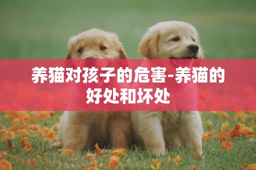 養貓對孩子的危害-養貓的好處和壞處