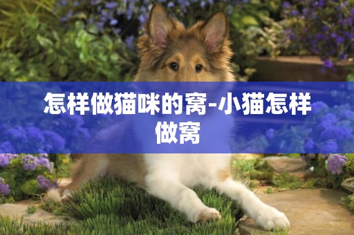 怎樣做貓咪的窩-小貓怎樣做窩