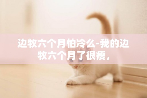 邊牧六個月怕冷么-我的邊牧六個月了很瘦，