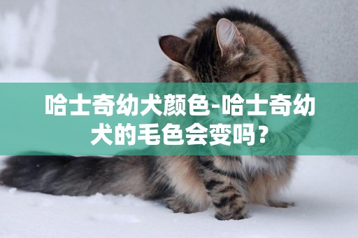 哈士奇幼犬顏色-哈士奇幼犬的毛色會變嗎？