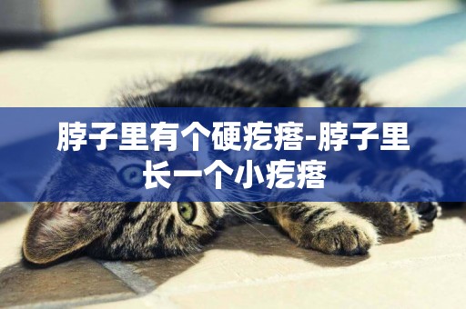 脖子里有個硬疙瘩-脖子里長一個小疙瘩