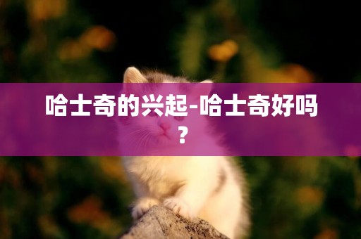 哈士奇的興起-哈士奇好嗎？