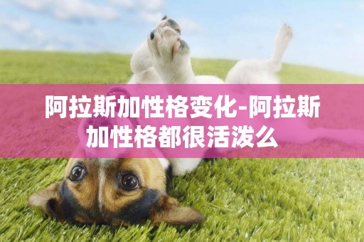 阿拉斯加性格變化-阿拉斯加性格都很活潑么