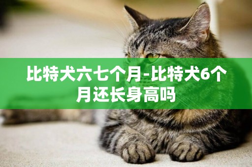 比特犬六七個月-比特犬6個月還長身高嗎