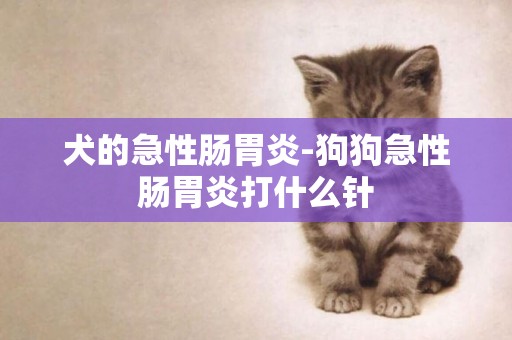 犬的急性腸胃炎-狗狗急性腸胃炎打什么針