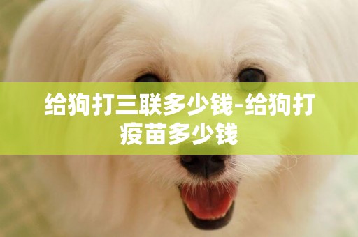 給狗打三聯多少錢-給狗打疫苗多少錢