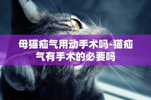 母貓疝氣用動手術嗎-貓疝氣有手術的必要嗎