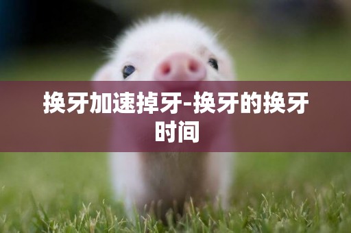 換牙加速掉牙-換牙的換牙時間