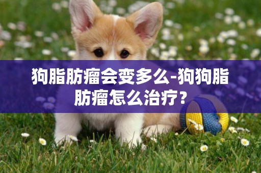狗脂肪瘤會變多么-狗狗脂肪瘤怎么治療？