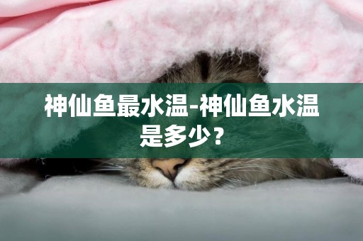 神仙魚最水溫-神仙魚水溫是多少？