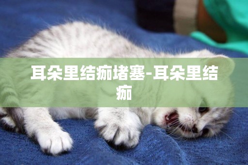 耳朵里結痂堵塞-耳朵里結痂